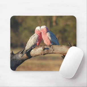 Mousepad Galahs Rosa