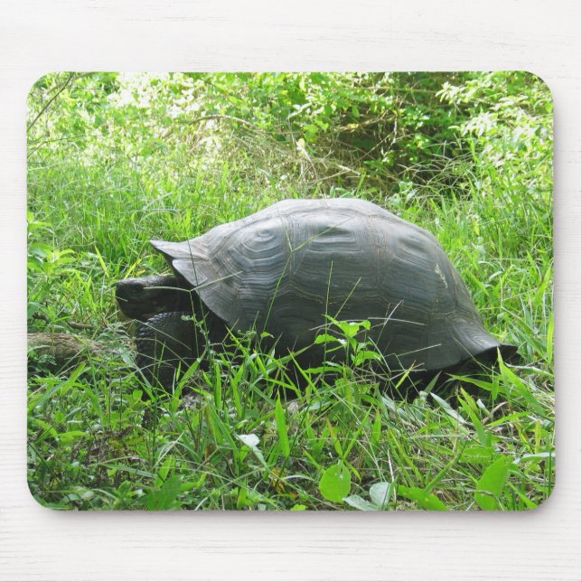 Mousepad Galápagos Tortoise (Frente)