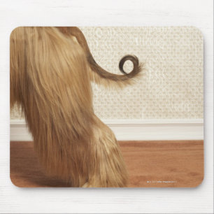 Mousepad Galgo afegão que está na sala, seção da