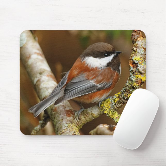 Mousepad Galinha-de-castanha-de-castanha-branca na árvore-p (Com mouse)