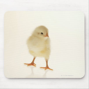 Mousepad Galinha do bebê