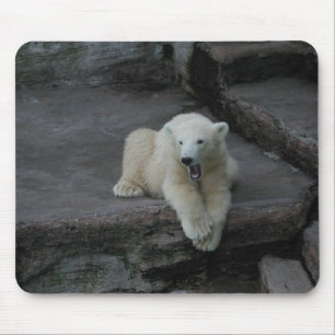 Mousepad Galinha-do-urso-polar