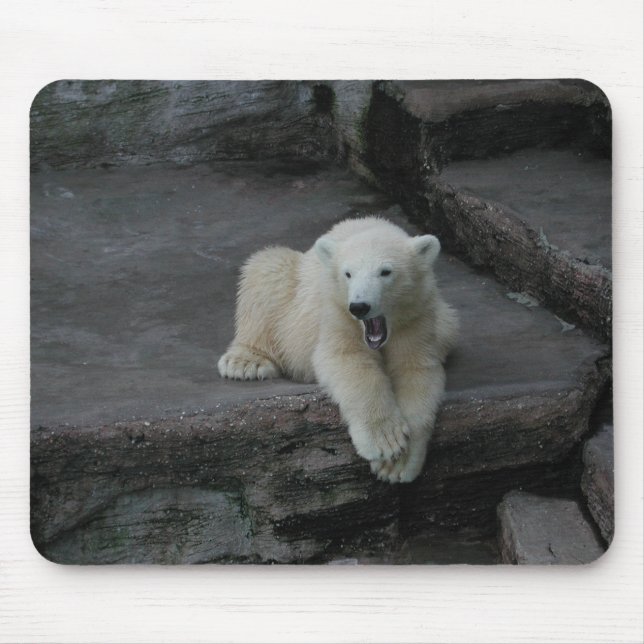 Mousepad Galinha-do-urso-polar (Frente)