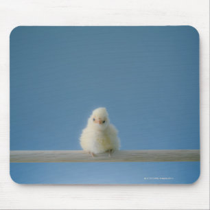Mousepad Galinha solitária do animal de estimação do beb