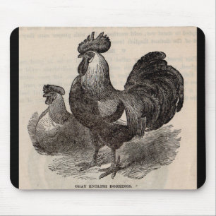 Mousepad Galinhas inglesas cinzentas dos dorkings do