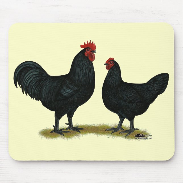 Mousepad Galinhas Java Pretas (Frente)