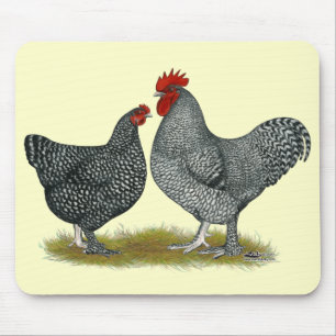 Mousepad Galinhas Malinas