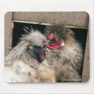 Mousepad Galinhas Snuggling das galinhas de Silkie - aves