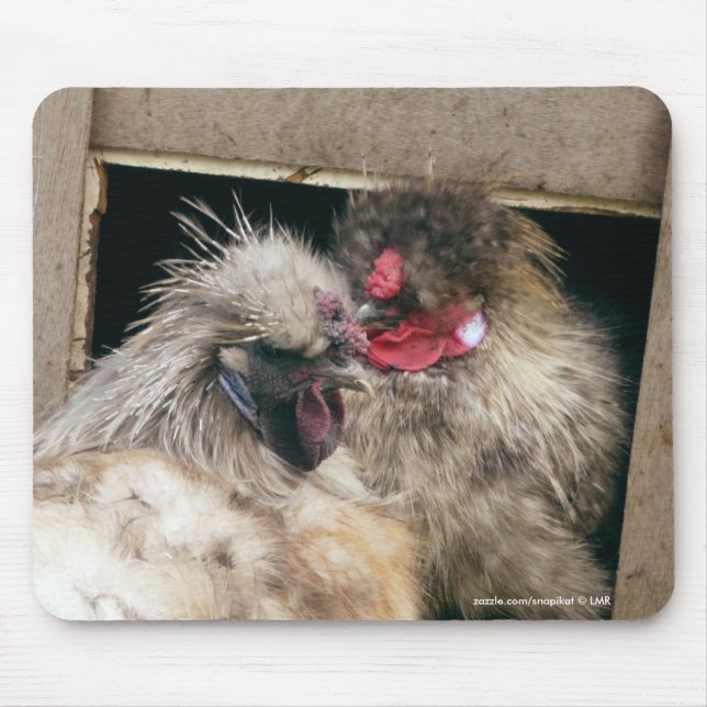 Mousepad Galinhas Snuggling das galinhas de Silkie - aves (Frente)