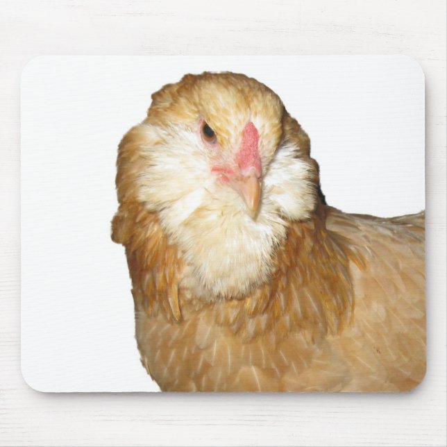 Mousepad Galinhas Wheaten raras bonitas das galinhas de (Frente)