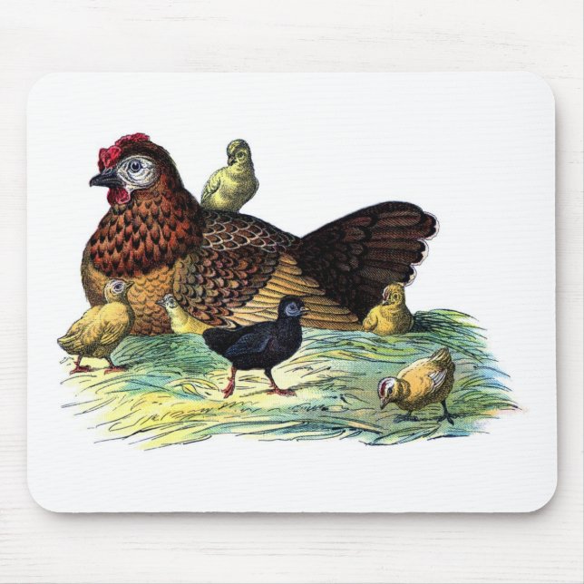 Mousepad Galinheiro Antigo Animal (Frente)
