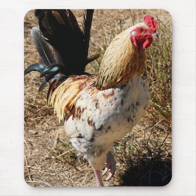 Mousepad Galo! (Frente)