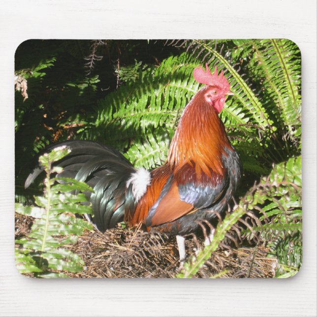 Mousepad Galo - galinha de selva vermelha (Frente)