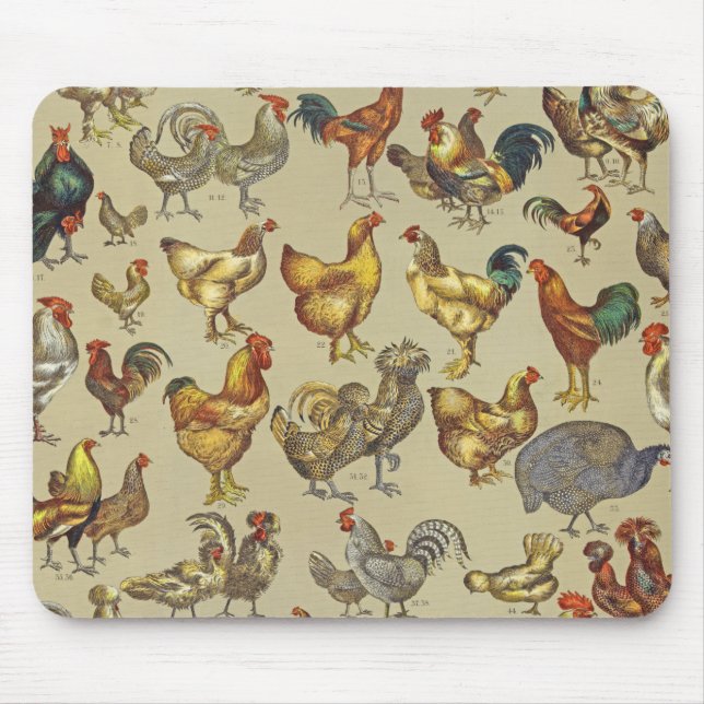 Mousepad Galo Galinha-Fazenda Animal (Frente)