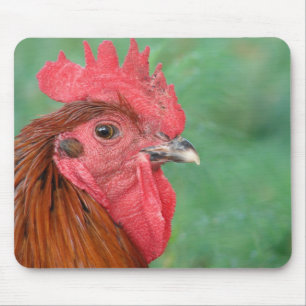 Mousepad Galo preto de cobre maran