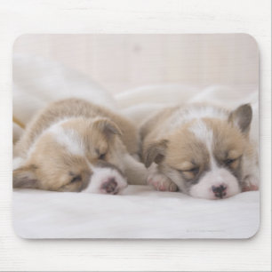 Mousepad Galsh Corgi Puppies