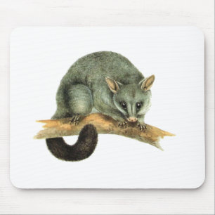 Mousepad - gambá