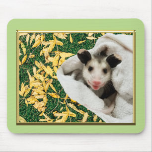 Mousepad Gambá Bebê Gambazinho