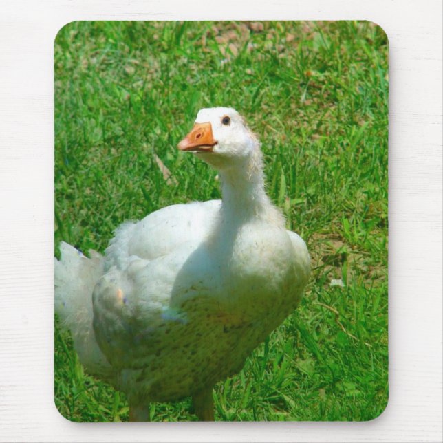 Mousepad Gander (Frente)