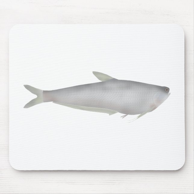 Mousepad Gangetic Hairfin Anchovy  (Frente)