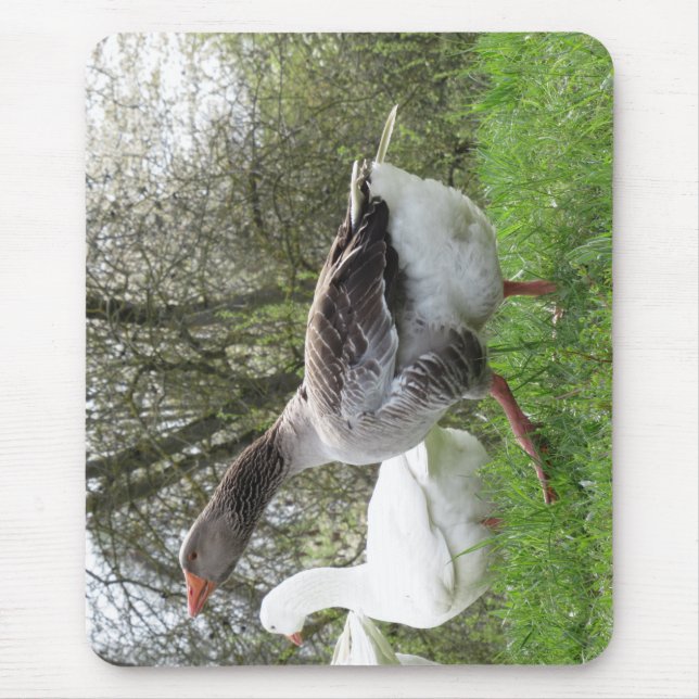 Mousepad Gänse auf einer Wiese (Frente)