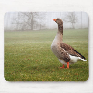 Mousepad Ganso