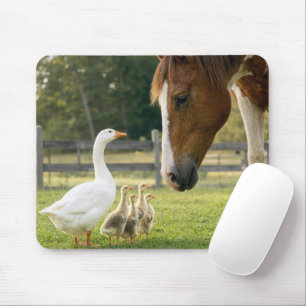 Mousepad Ganso Branco com Gansinhos e Cavalo