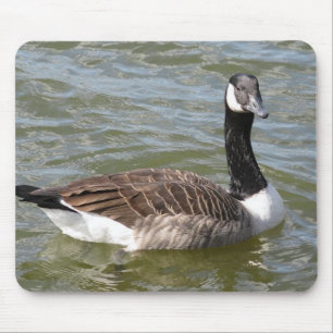 Mousepad Ganso canadense