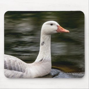 Mousepad Ganso Canadiano Leucista