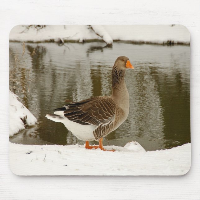 Mousepad Ganso cinzento (Frente)