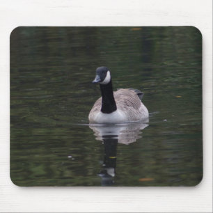 Mousepad Ganso do Canadá