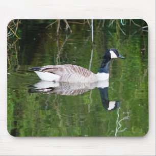 Mousepad Ganso do Canadá