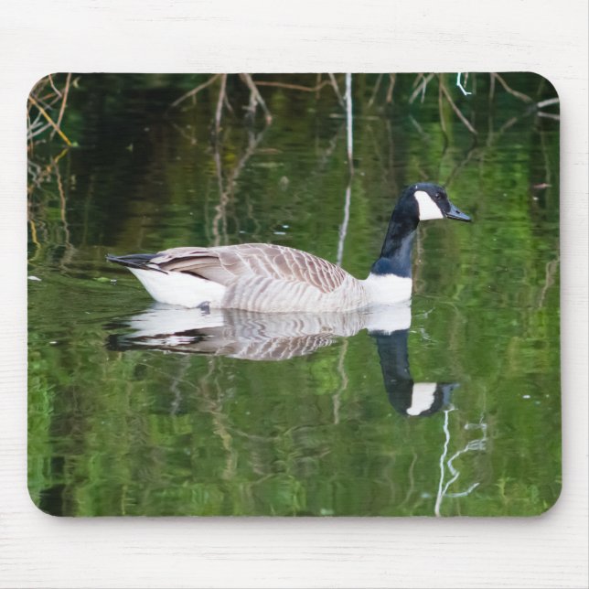 Mousepad Ganso do Canadá (Frente)