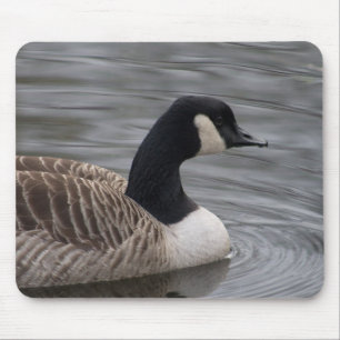 Mousepad Ganso do Canadá