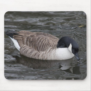 Mousepad Ganso do Canadá