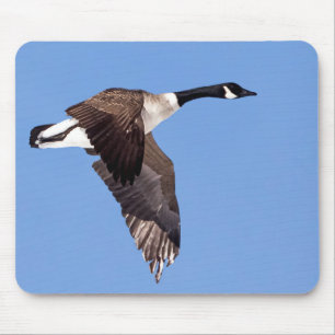 Mousepad Ganso Em Voo