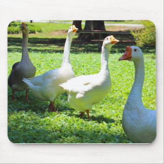 Mousepad Gansos