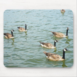 Mousepad Gansos canadenses