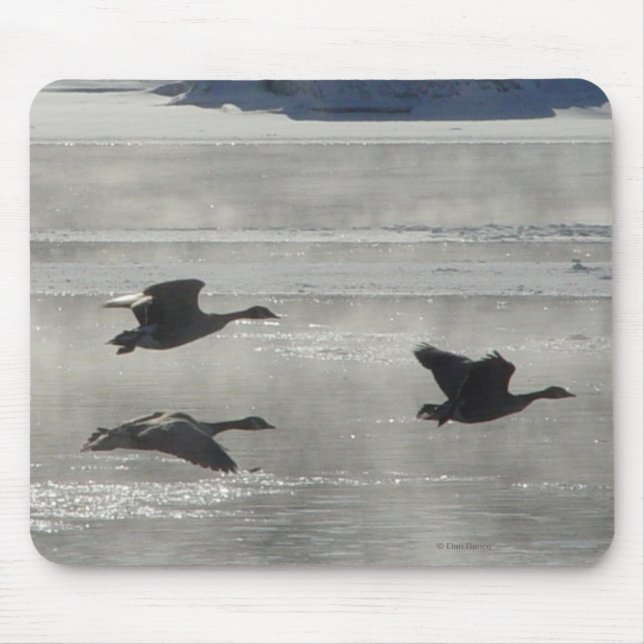 Mousepad Gansos canadenses B47 sobre o rio congelado (Frente)