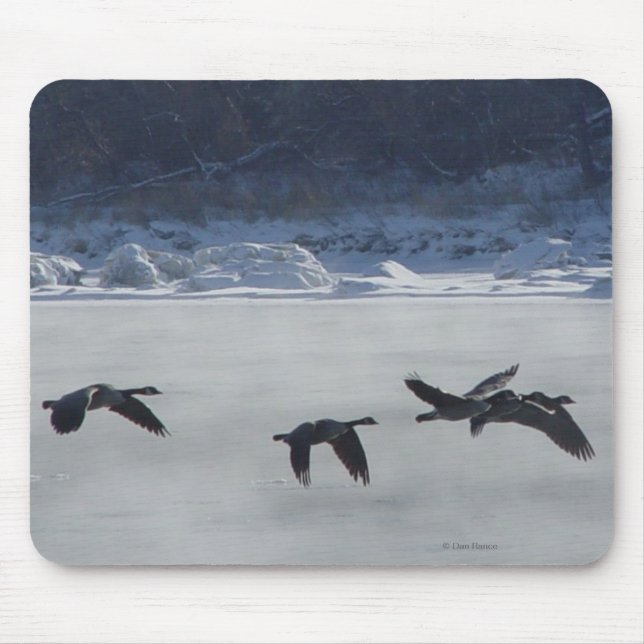 Mousepad Gansos canadenses B48 sobre rio congelado (Frente)