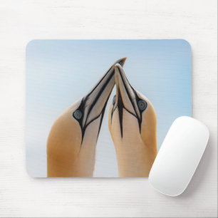 Mousepad Gansos-do-norte Heligolândia Alemanha Morus Gel Mo