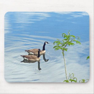 Mousepad Gansos que apreciam uma natação