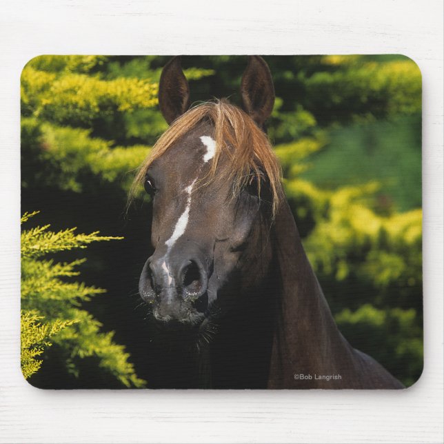 Mousepad Garanhão árabe (Frente)