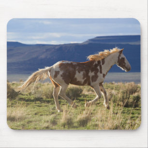 Mousepad Garanhão Correndo, Montanhas Steens, Oregon