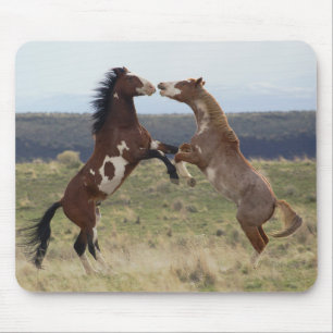 Mousepad Garanhões Lutando, Montanhas Steens, Oregon