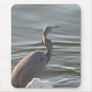 Mousepad Garça Azul Grande junto à Água