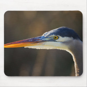 Mousepad Garça-azul-grande, retrato aproximado