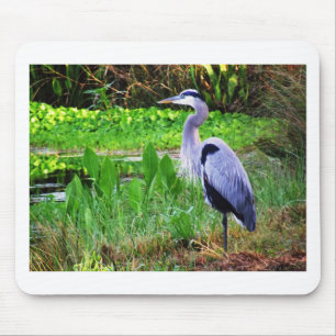 Mousepad Garça-real azul
