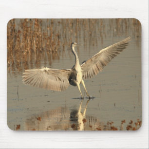 Mousepad Garça-real cinzenta