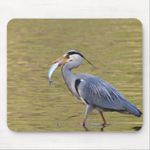 Mousepad Garça-real cinzenta
